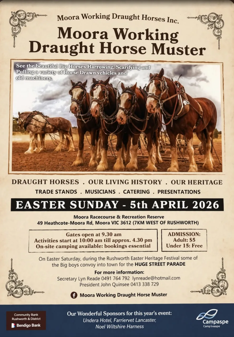 Moora Working Draught Horse Muster